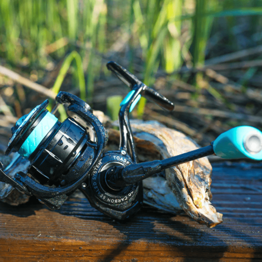 Toadfish 3000 Elite Carbon Spinning Reel Application 2