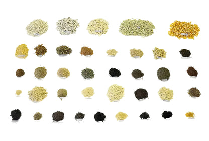 Readywise 4500 Vegetable Seed Heirloom Seed Vault Bucket