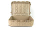 Pelican 1730 Protector Transport Case