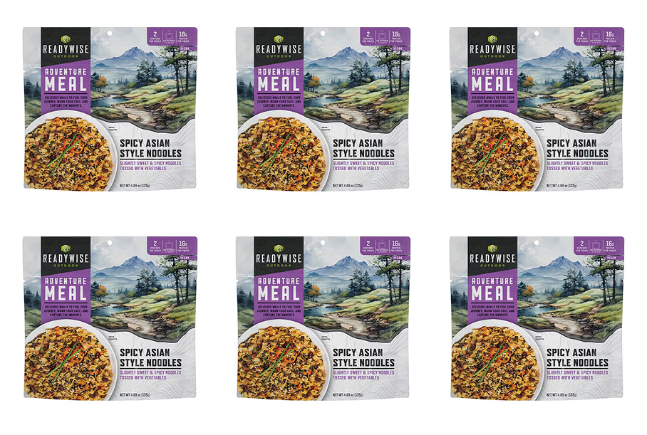 Readywise CP 2 Serve Spicy Asian Style Noodles-Reformulated
