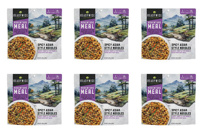 Readywise CP 2 Serve Spicy Asian Style Noodles-Reformulated