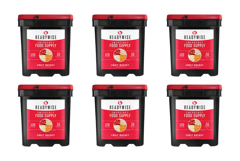 Readywise Freeze Dried Fruit Bucket