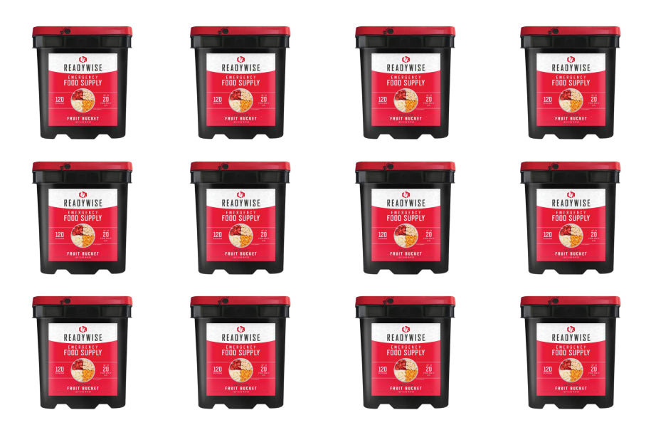 Readywise Freeze Dried Fruit Bucket