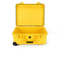 1560 Pelican™ Protector Case